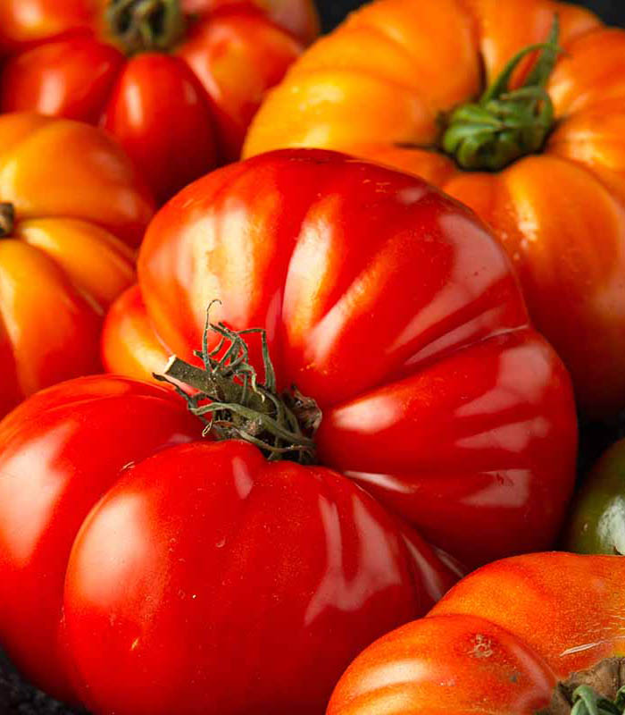 beafsteak tomatoes